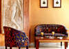 Tryp Rex 